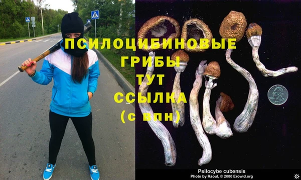 не бодяженный Аркадак