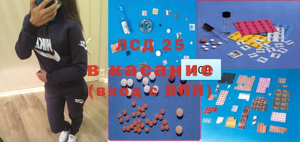 сатива Алексеевка